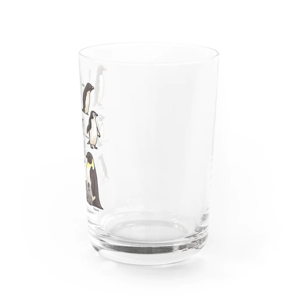 huroshikiのペンギンだらけ Water Glass :right