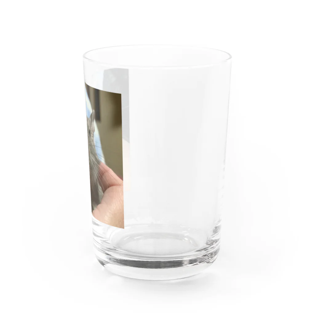 もぐレッダの撫でられデグーのぐりちゃん Water Glass :right