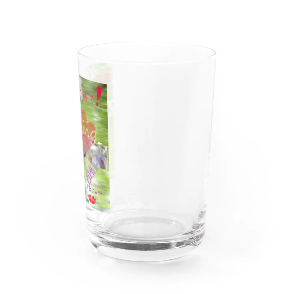 にんにく小豆製作場  のねこさんの神だのみ　n-3 Water Glass :right