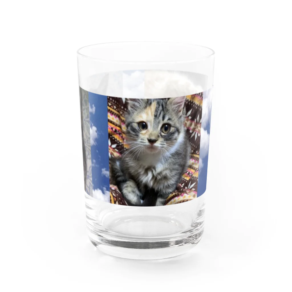 きなこ あずきショップのあずき ぎん きなこ Water Glass :right