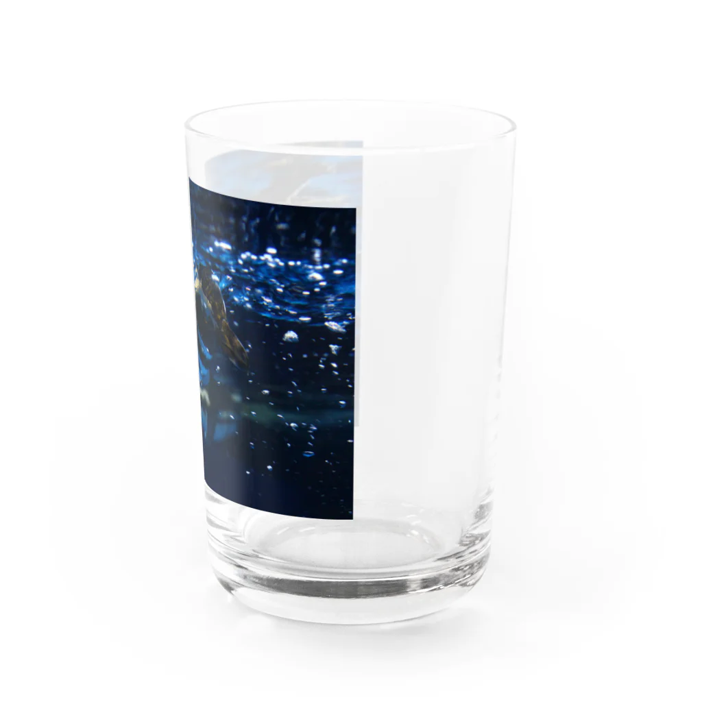 No.8のペンギン Water Glass :right