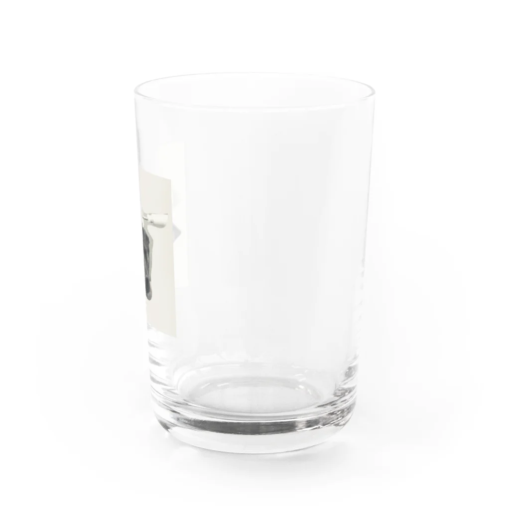 よく寝る甲斐犬のころころ Water Glass :right