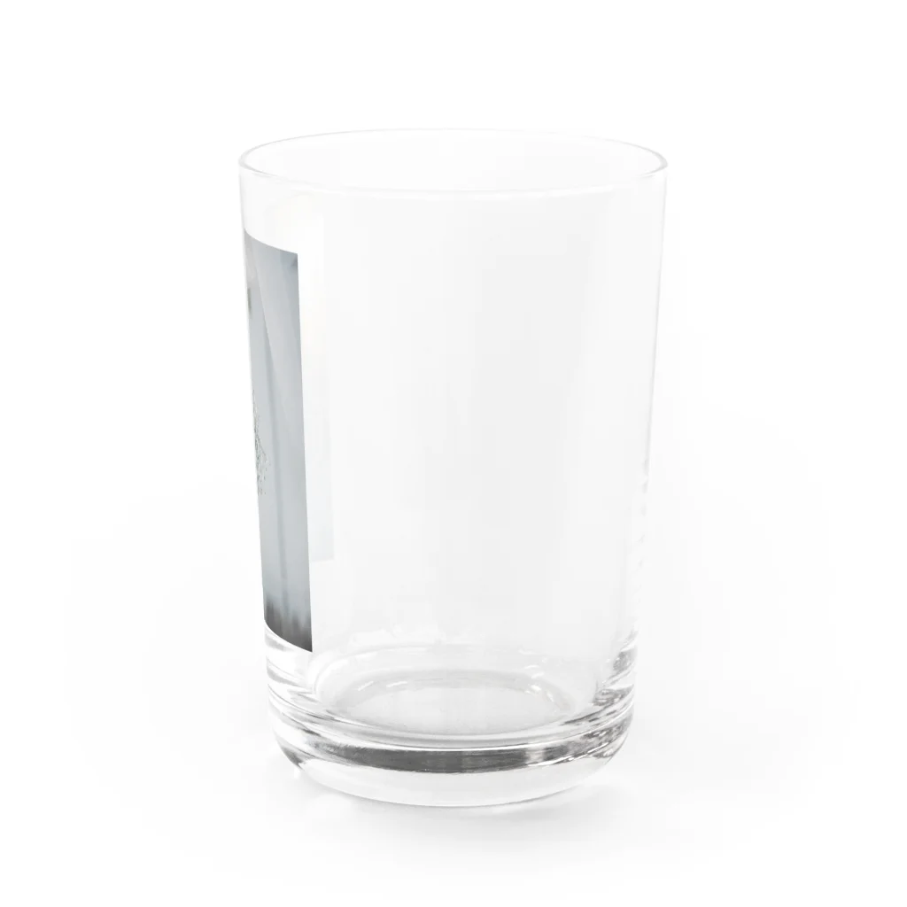 1993のレースとかすみ草 Water Glass :right