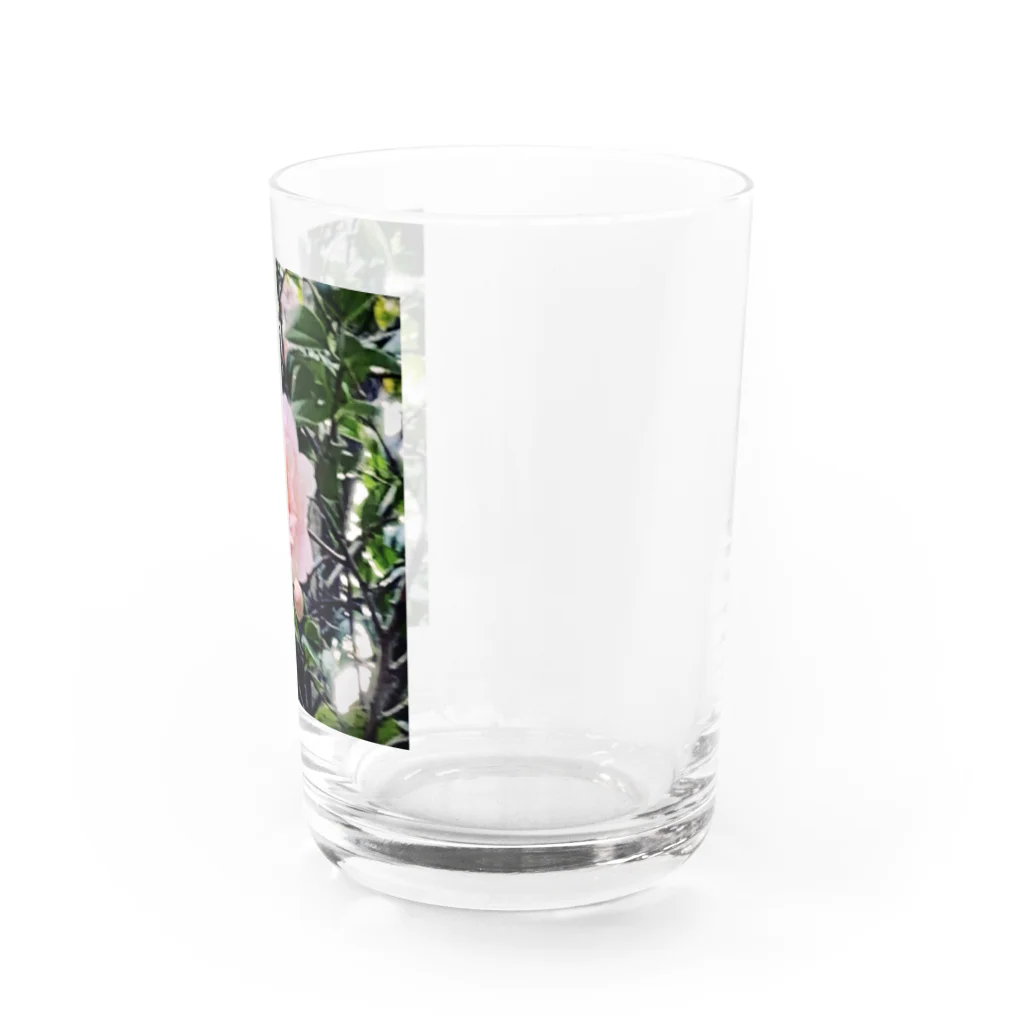 お花の双葉のカメリア Water Glass :right