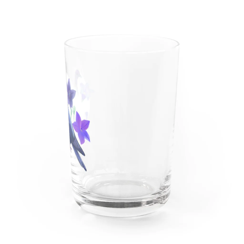 Mt.piyoのアカガシラカラスバト Water Glass :right