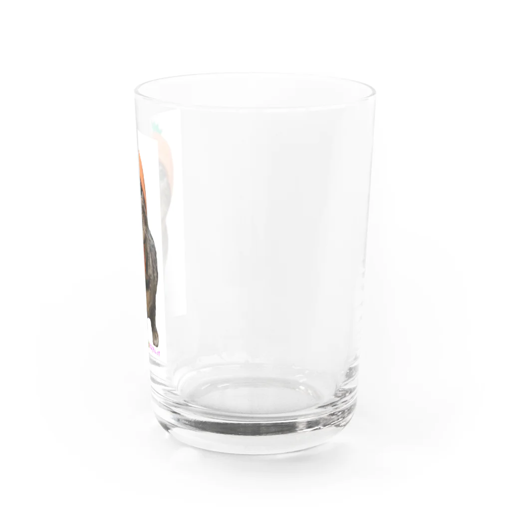 ヒョウ柄にゃんこアルバの被り物王子アルバ(にんじん) Water Glass :right