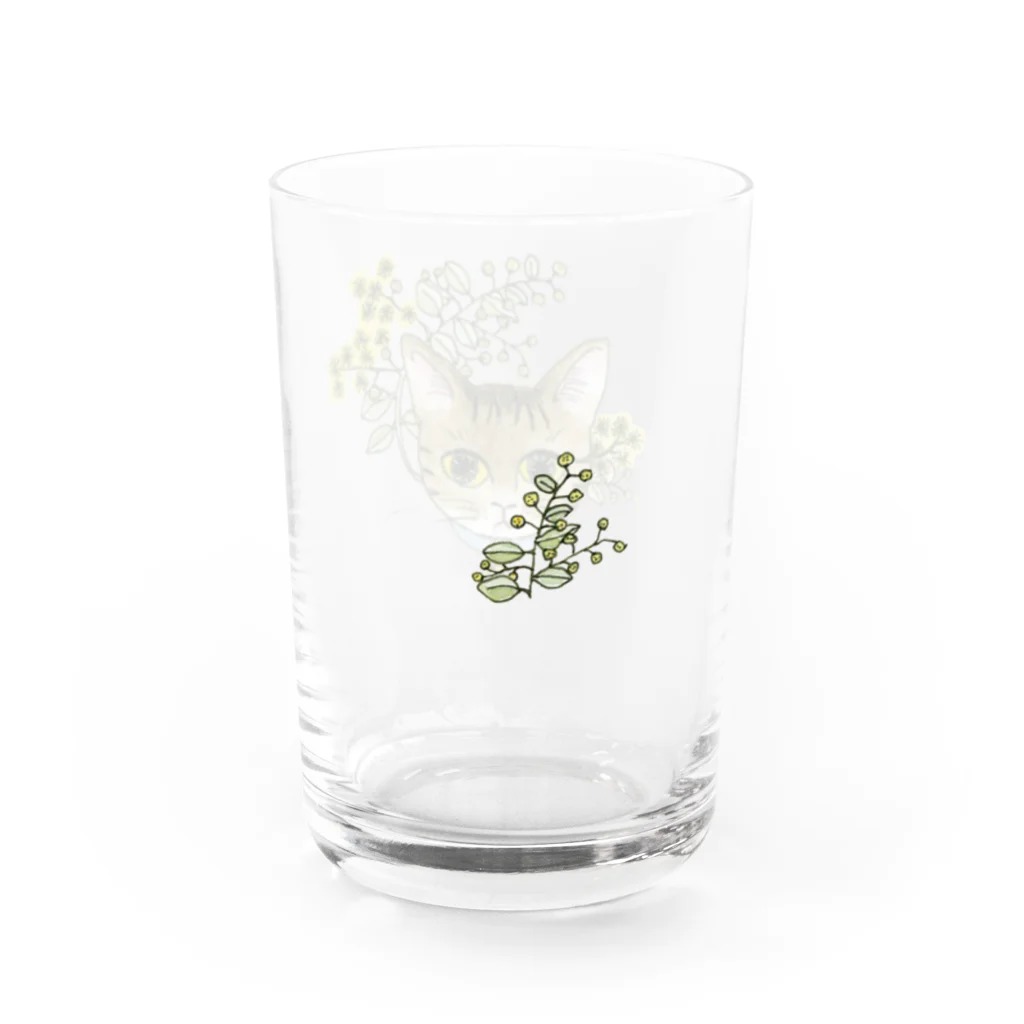 ブリキ屋の猫とパールアカシア2 Water Glass :right