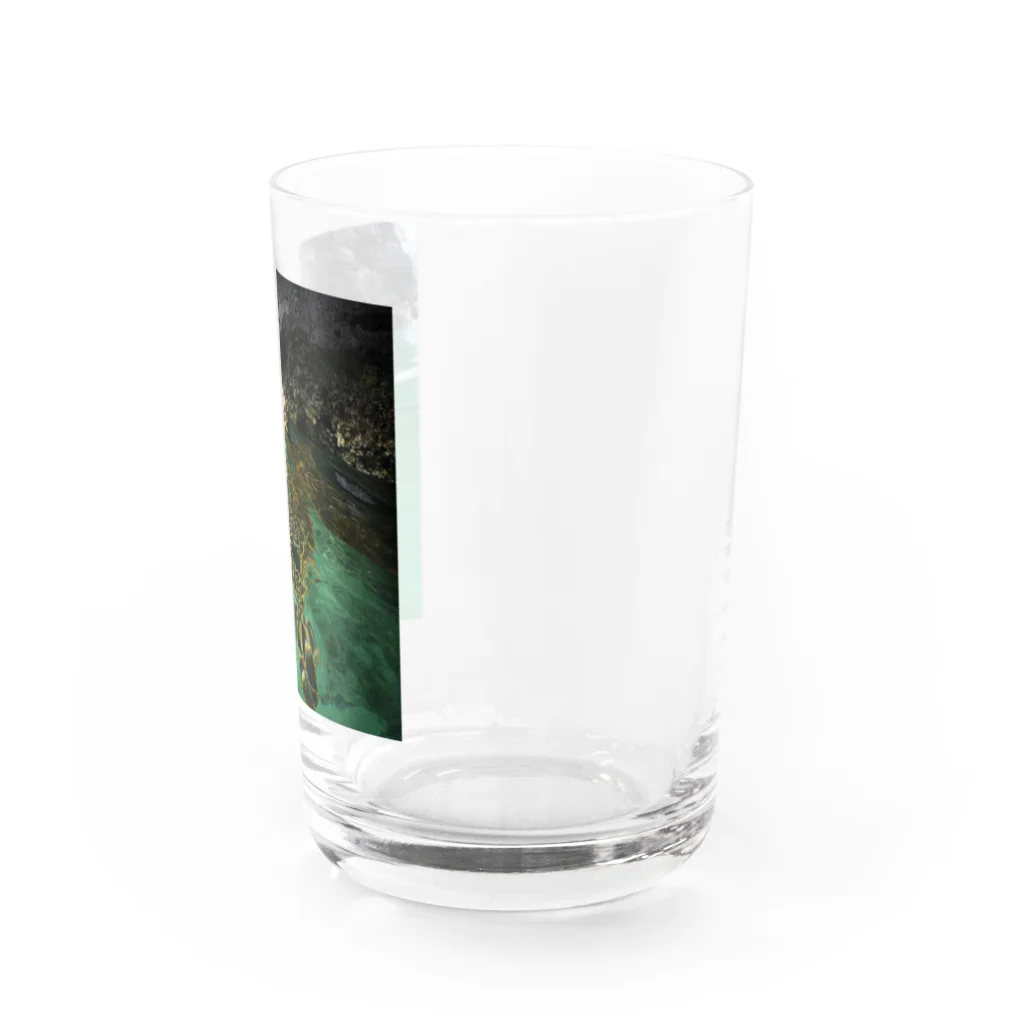 Monokomono+のホノルルホヌ Water Glass :right