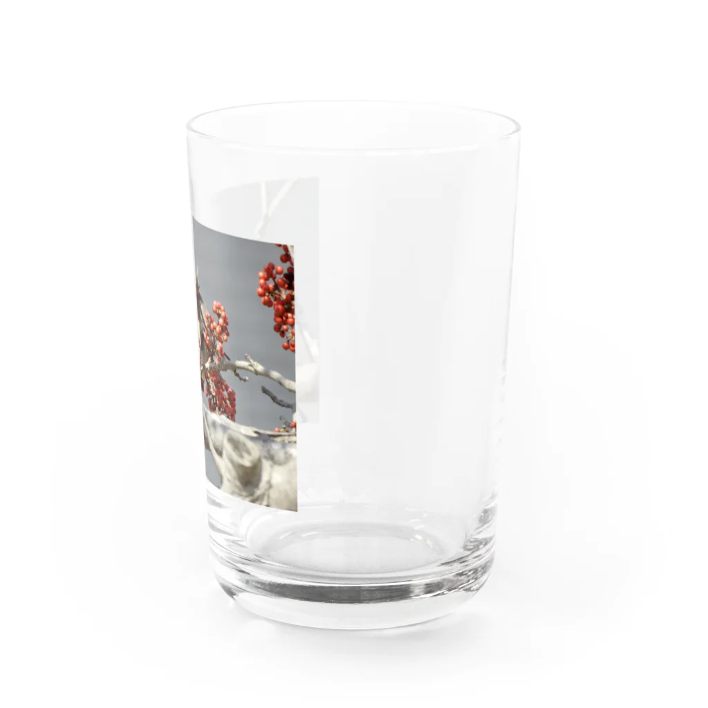 カワセミLOVEの出身歌舞伎町ヒレンジャク Water Glass :right