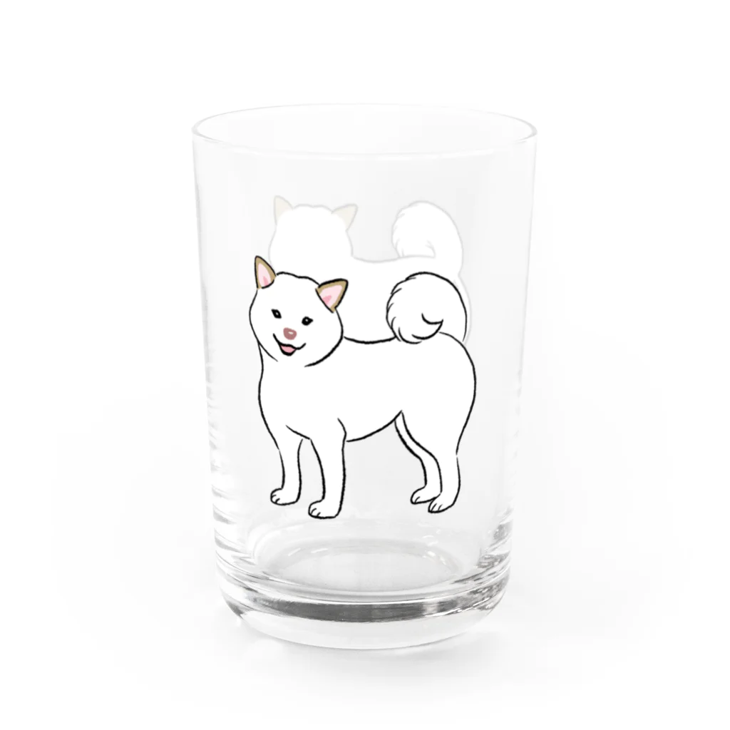 chippokeの白柴・前後 Water Glass :right