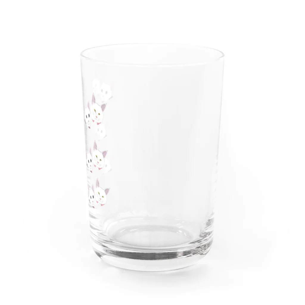 小鳥と映画館の碧&琥珀 フェイス Water Glass :right