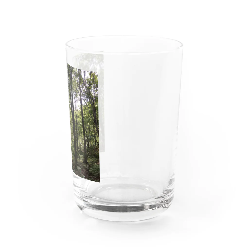 Nickel13の森 Water Glass :right