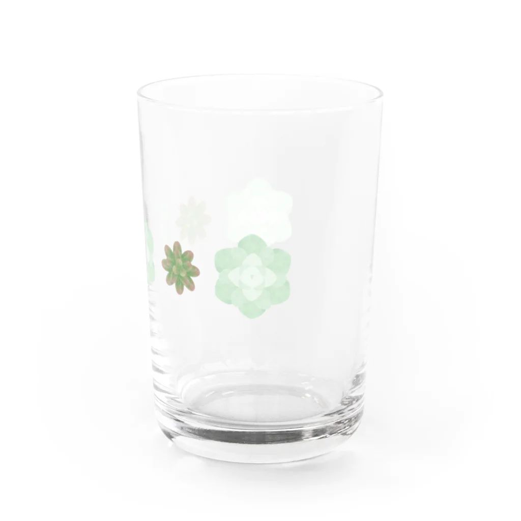 cotton-berry-pancakeの多肉植物 Water Glass :right