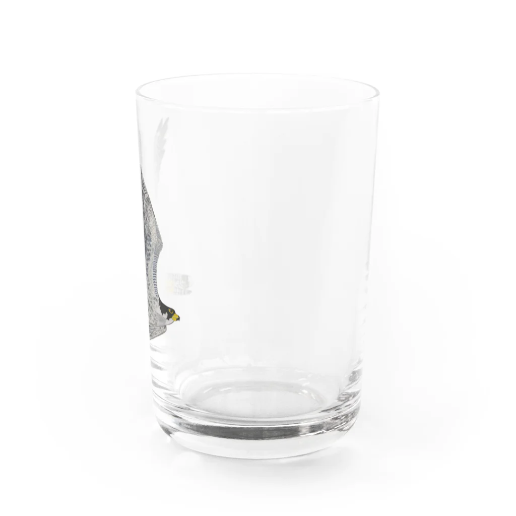 Coshi-Mild-Wildのハヤブサですよ🦅 Water Glass :right