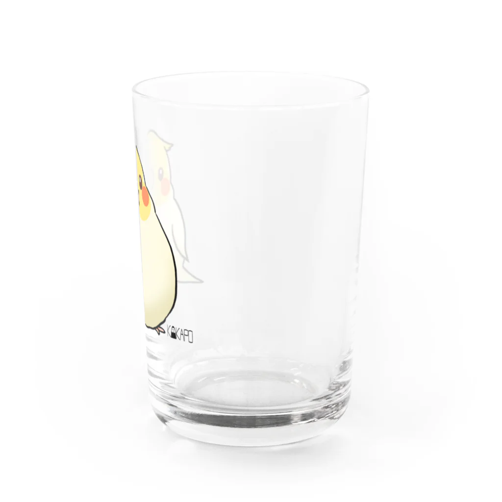 *KAKAPO*の*KAKAPO*のふんわりオカメインコちゃん(るちの) Water Glass :right