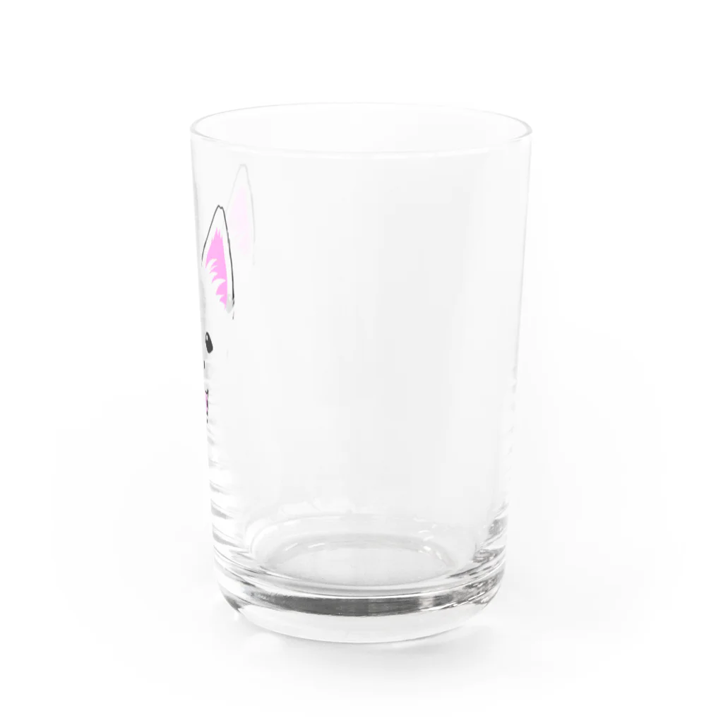 てみ屋のもふがくれ日本スピッツ Water Glass :right