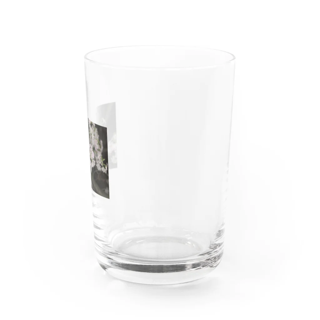 けのさくら Water Glass :right