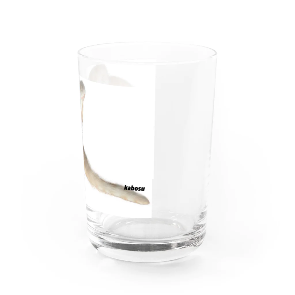 みかんとかぼすのかぼすくつろぎ Water Glass :right