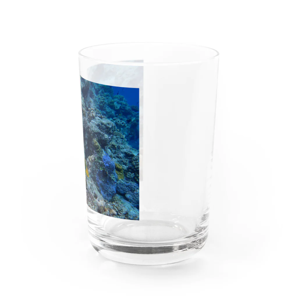 写真_ringo屋の海 Water Glass :right