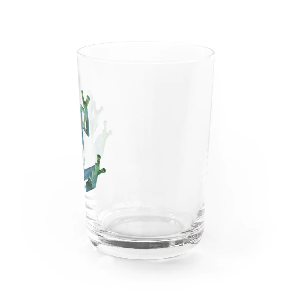 杏ちゃんのカエル Water Glass :right