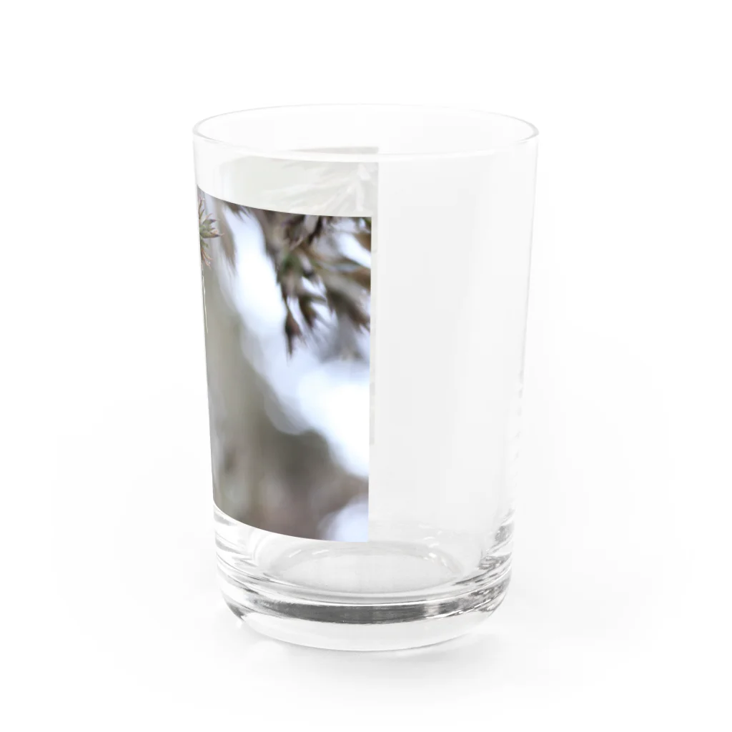 竹のおにいさんの竹ずくし君 Water Glass :right