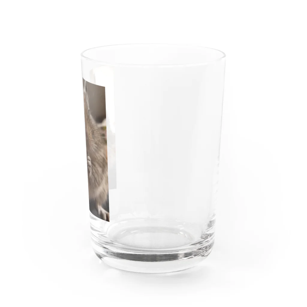 KokkotonakamatatiのOctodon　でーちゃん Water Glass :right