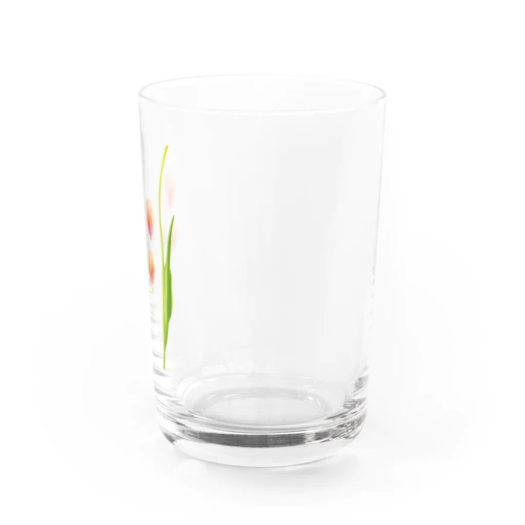 prism cityの花標本 サーモンピンクのチューリップ Water Glass :right