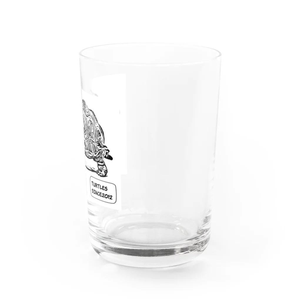 TURTLESのTURTLES Water Glass :right