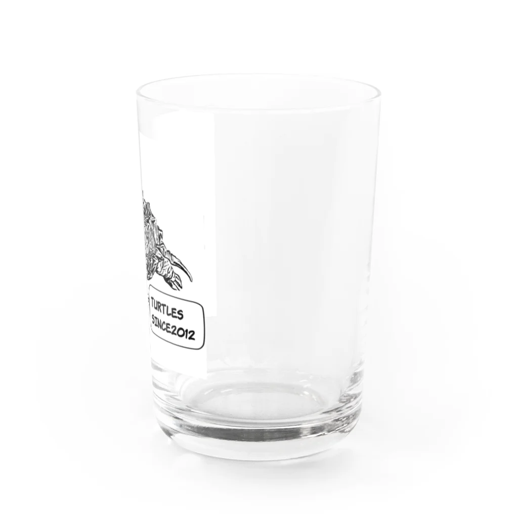 TURTLESのTURTLES Water Glass :right