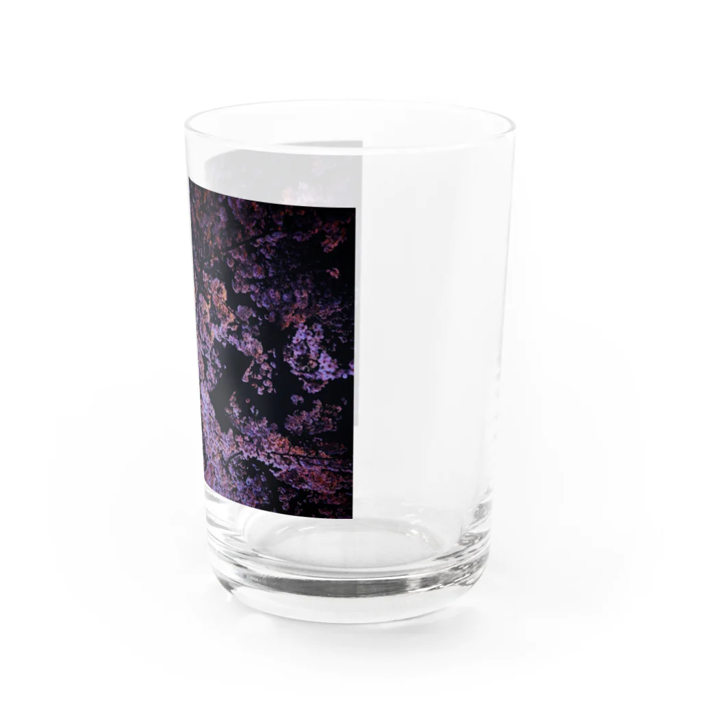 SHOPマニャガハの夜桜満開 Water Glass :right