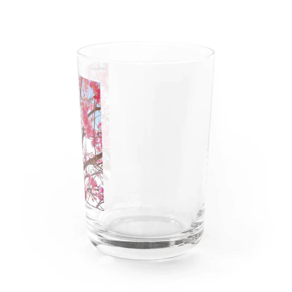 BouquetのSakura Water Glass :right