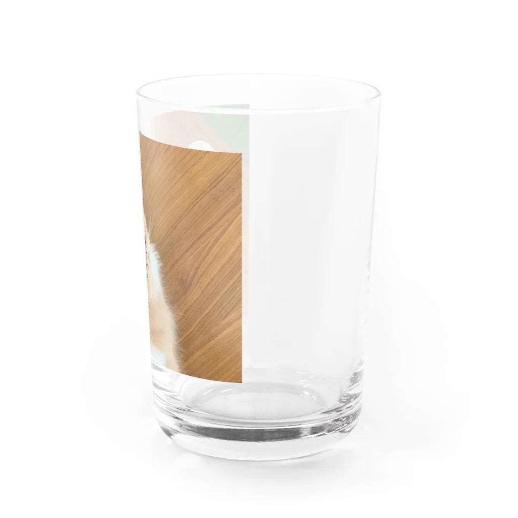 KOARAyamamoto®のBEBE グラス Water Glass :right