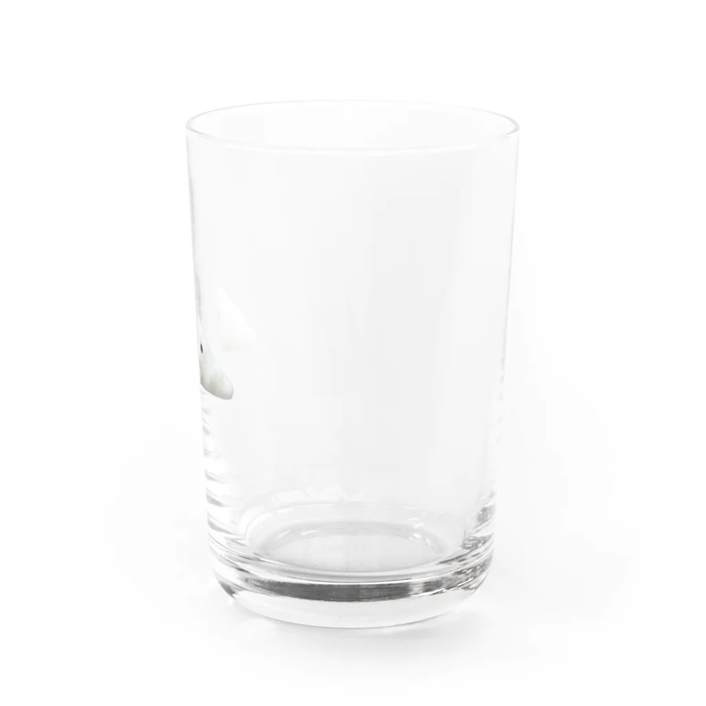 うえの屋のはんぺん白太郎 Water Glass :right