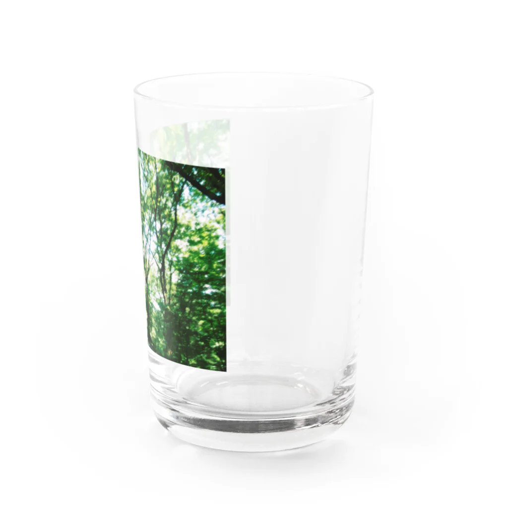 もの大自然 Water Glass :right