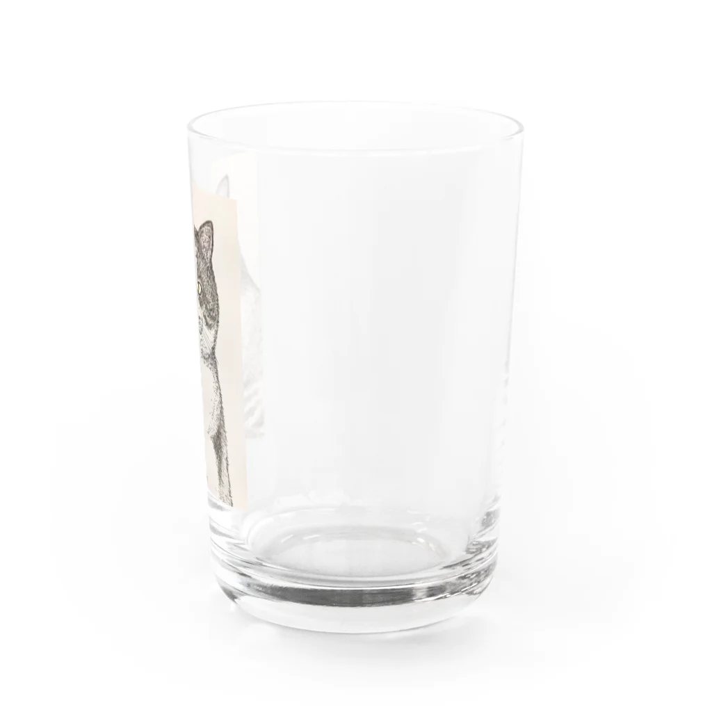 nemunoki paper itemのねこのみつお Water Glass :right