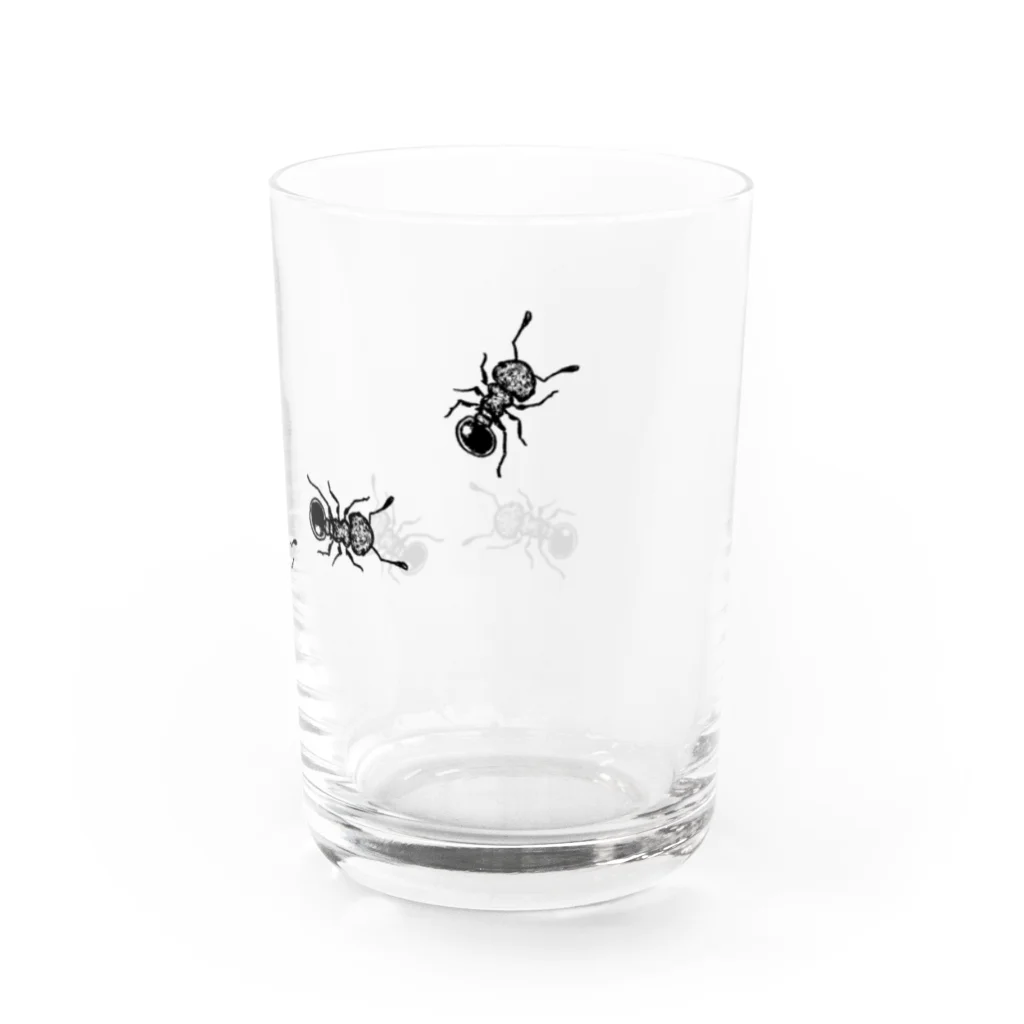 きっかわのあみめあり(くっきり白ナシver) Water Glass :right