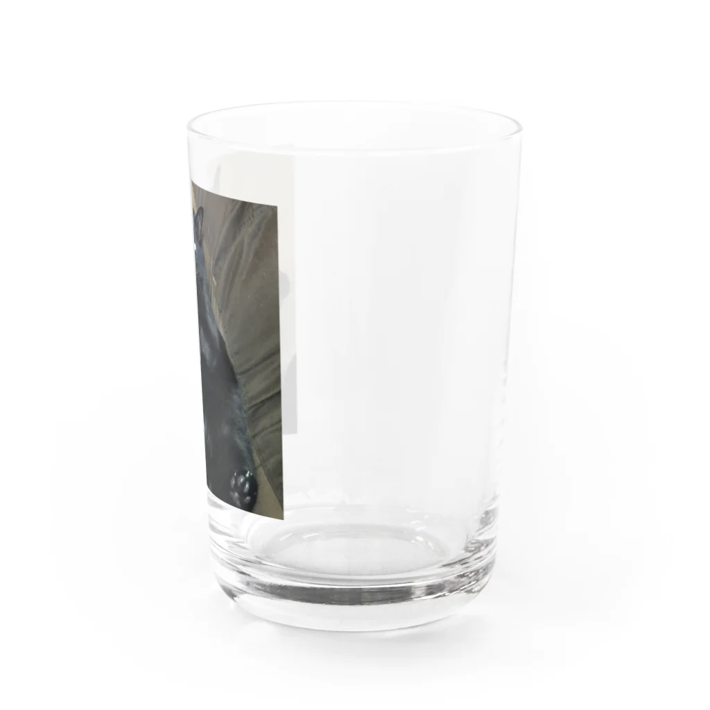 saachan1の神社にいた猫福ちゃん Water Glass :right