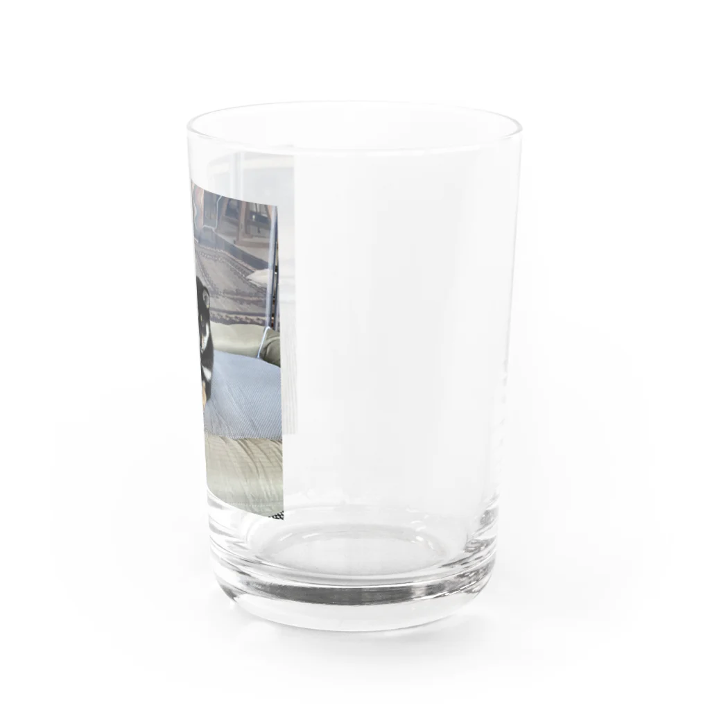 たま子100%のたま子のコップ Water Glass :right