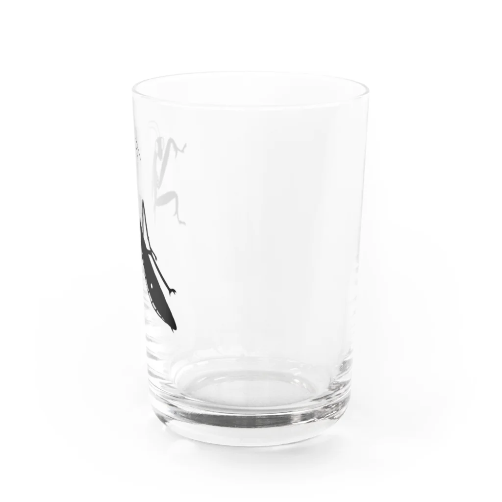 虚宵月　花火駅前店のモノクロ　ハラビロカマキリ Water Glass :right