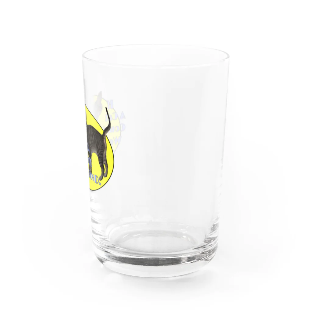 無重力の猫とは喋らなくても仲良しTシャツ Water Glass :right