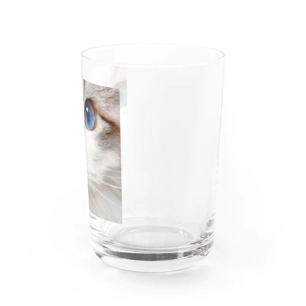 こむぎSHOPのこむぎ👀ブルーアイ Water Glass :right