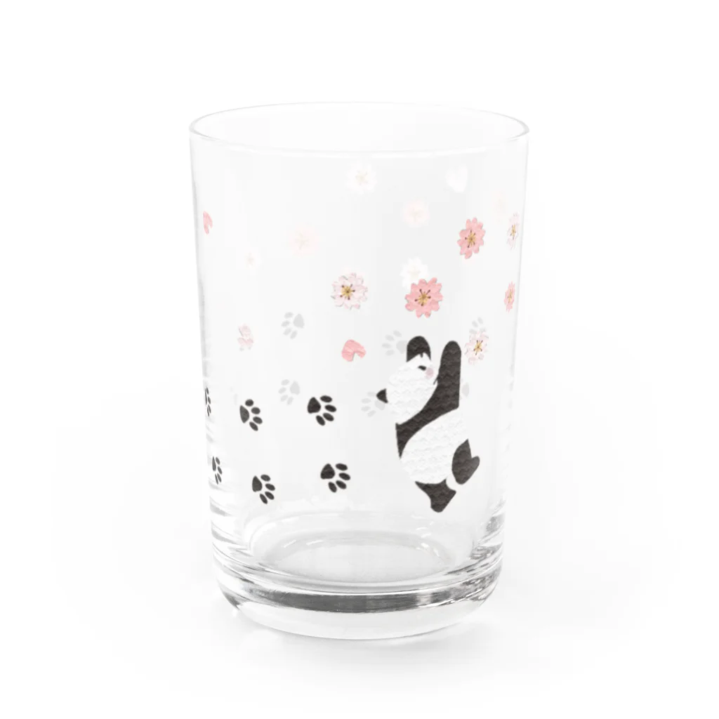 田中ザビエル世界のどうぶつの桜咲くパンダ Water Glass :right