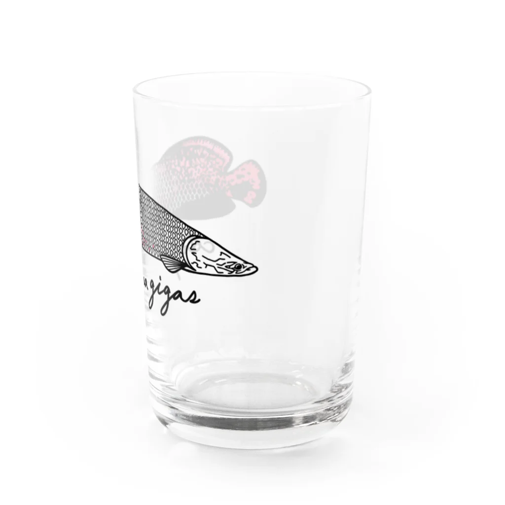 Alba spinaのピラルク Water Glass :right