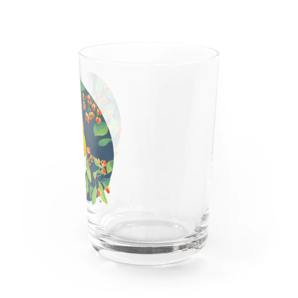 piro piro piccoloのムギマキ Water Glass :right