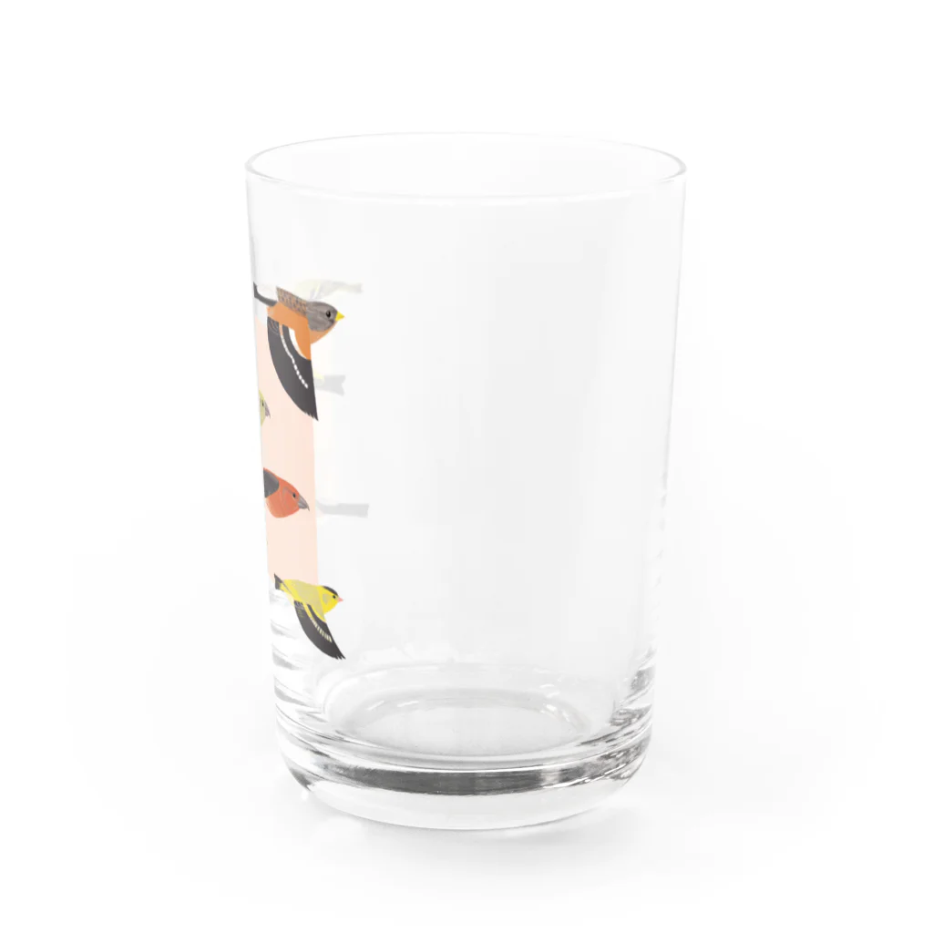 piro piro piccoloのFLYING ATORI  Water Glass :right