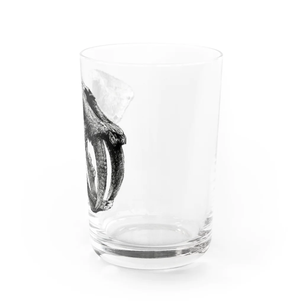 segasworksのSmilodon(skull) Water Glass :right