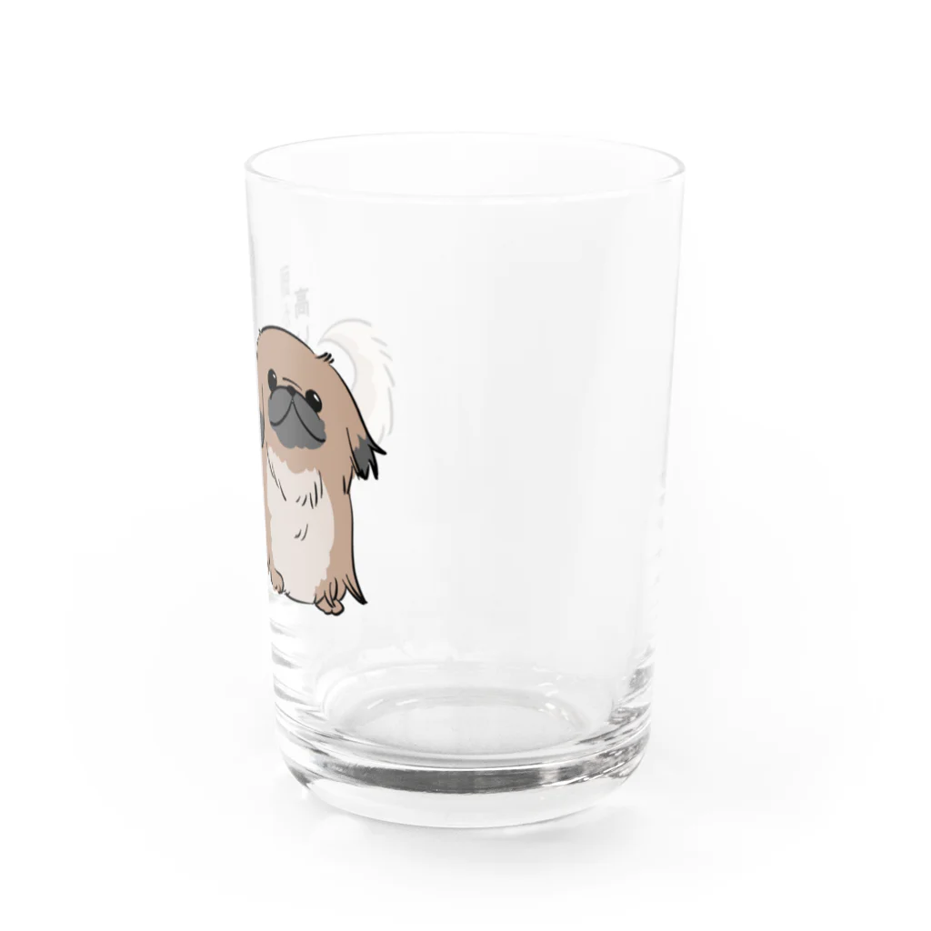 ペキニーズとかわんことか。の我が道を行くペキニーズ（フォーン） Water Glass :right