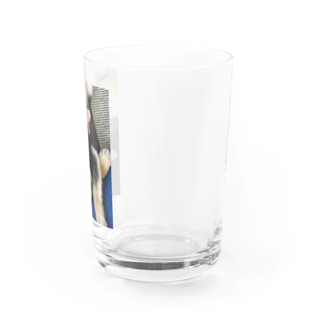 たま子100%のくつろぎたま子のコップ Water Glass :right