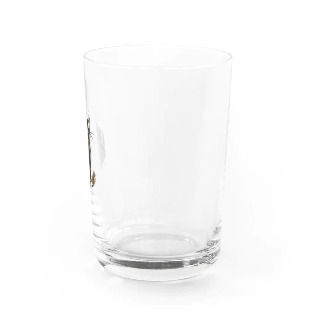 ^‥^ｼｬﾑのそっぽを向く猫 Water Glass :right