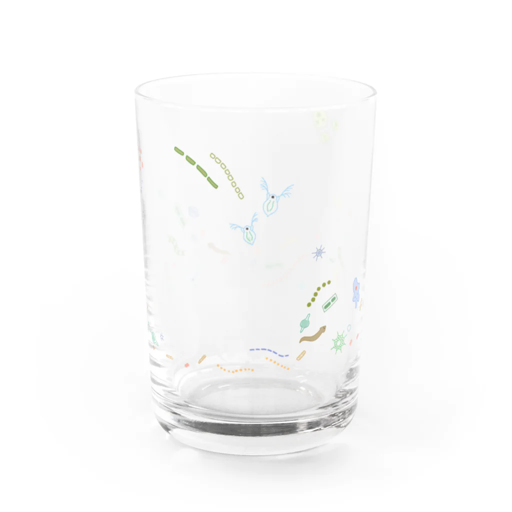 まめうにのプランクトンを飲み干す Water Glass :right